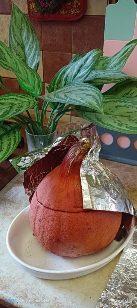 A red pumpkin partially wrapped in aluminum foil, sitting on a white plate. A leafy green plant is in the background.
